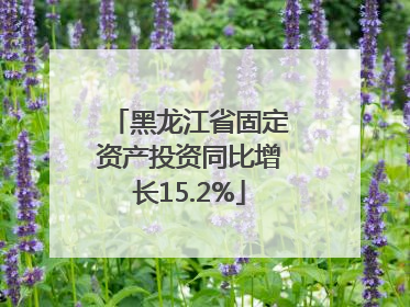 黑龙江省固定资产投资同比增长15.2%