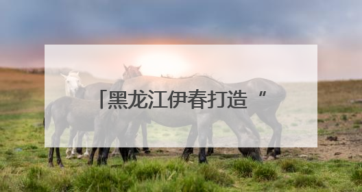 黑龙江伊春打造“伊法调”品牌，绘就林都新“枫”景！