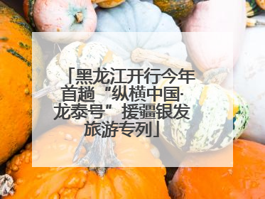 黑龙江开行今年首趟“纵横中国·龙泰号”援疆银发旅游专列