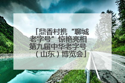 鼎香村携“聊城老字号”惊艳亮相第九届中华老字号（山东）博览会