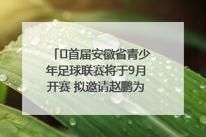 ﻿首届安徽省青少年足球联赛将于9月开赛 拟邀请赵鹏为先导赛开球