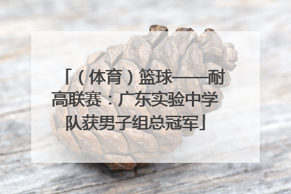 （体育）篮球——耐高联赛：广东实验中学队获男子组总冠军