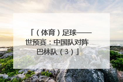 （体育）足球——世预赛：中国队对阵巴林队（3）