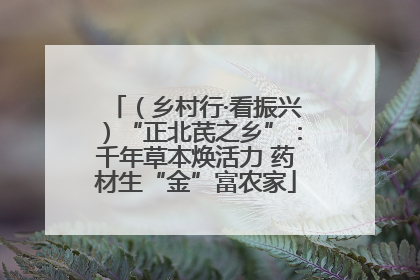 （乡村行·看振兴）“正北芪之乡”：千年草本焕活力 药材生“金”富农家