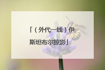 （外代一线）伊斯坦布尔掠影