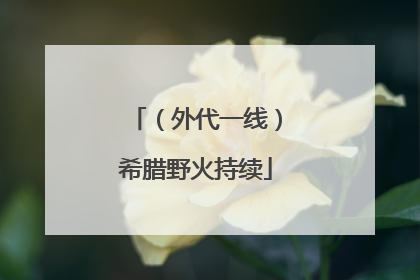 （外代一线）希腊野火持续