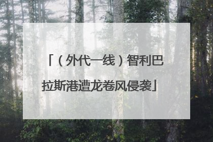（外代一线）智利巴拉斯港遭龙卷风侵袭