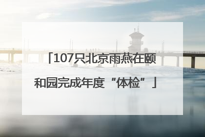 107只北京雨燕在颐和园完成年度“体检”