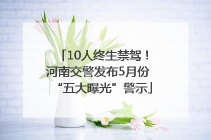 10人终生禁驾！河南交警发布5月份“五大曝光”警示