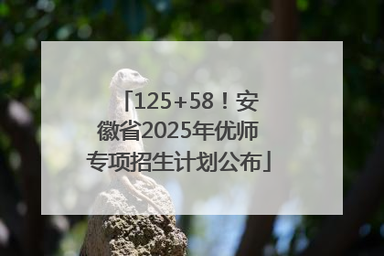125+58！安徽省2025年优师专项招生计划公布