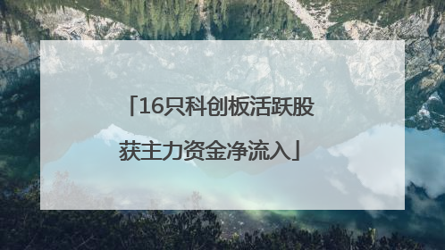 16只科创板活跃股获主力资金净流入