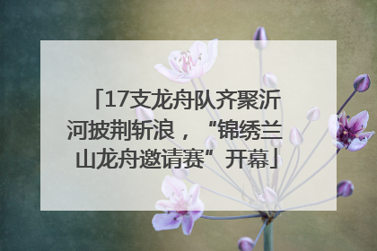 17支龙舟队齐聚沂河披荆斩浪，“锦绣兰山龙舟邀请赛”开幕
