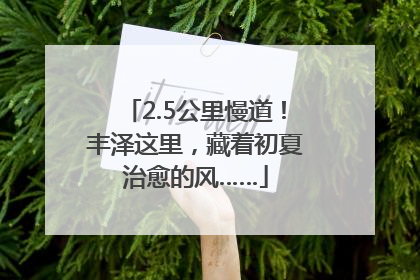 2.5公里慢道！丰泽这里，藏着初夏治愈的风……