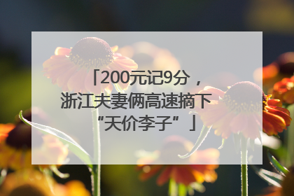 200元记9分，浙江夫妻俩高速摘下“天价李子”