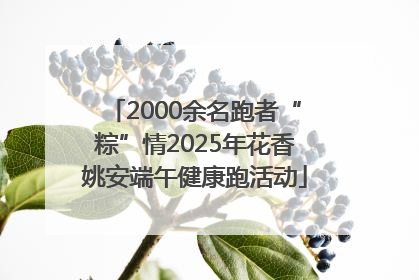 2000余名跑者“粽”情2025年花香姚安端午健康跑活动