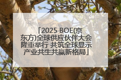 2025 BOE(京东方)全球供应伙伴大会隆重举行 共筑全球显示产业共生共赢新格局
