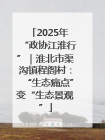 2025年“政协江淮行”｜淮北市渠沟镇程阁村：“生态痛点”变“生态景观”