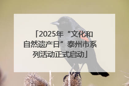 2025年“文化和自然遗产日”泰州市系列活动正式启动