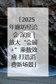 2025年廊坊经洽会·深度｜放大“会展+”乘数效应 打造消费新场景
