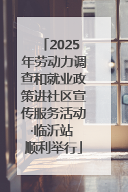 2025年劳动力调查和就业政策进社区宣传服务活动·临沂站 顺利举行