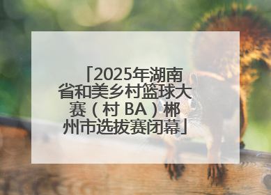 2025年湖南省和美乡村篮球大赛（村 BA）郴州市选拔赛闭幕