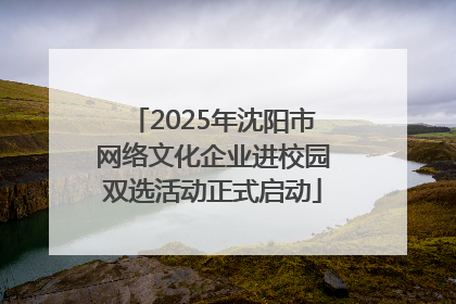 2025年沈阳市网络文化企业进校园双选活动正式启动