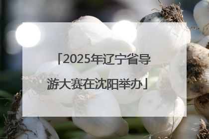 2025年辽宁省导游大赛在沈阳举办