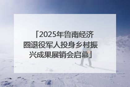 2025年鲁南经济圈退役军人投身乡村振兴成果展销会启幕
