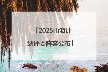 2025山海计划评委阵容公布