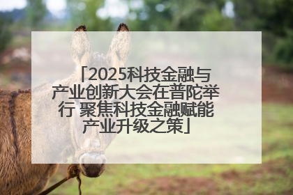 2025科技金融与产业创新大会在普陀举行 聚焦科技金融赋能产业升级之策