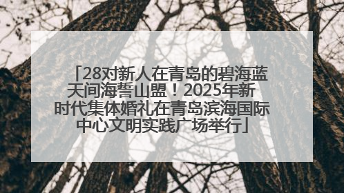 28对新人在青岛的碧海蓝天间海誓山盟！2025年新时代集体婚礼在青岛滨海国际中心文明实践广场举行