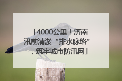 4000公里！济南汛前清淤“排水脉络”，筑牢城市防汛网