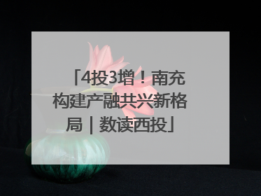 4投3增！南充构建产融共兴新格局｜数读西投