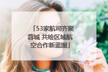 53家航司齐聚蓉城 共绘区域航空合作新蓝图