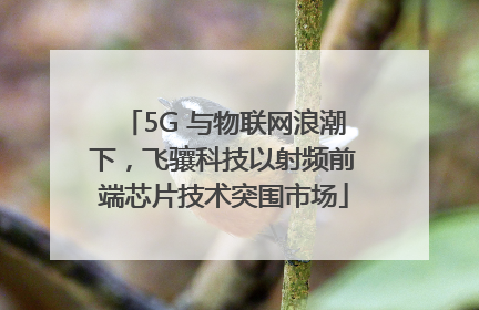 5G 与物联网浪潮下，飞骧科技以射频前端芯片技术突围市场
