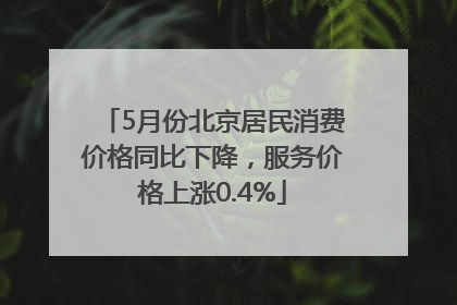 5月份北京居民消费价格同比下降，服务价格上涨0.4%