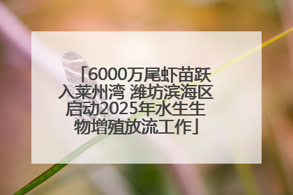 6000万尾虾苗跃入莱州湾 潍坊滨海区启动2025年水生生物增殖放流工作