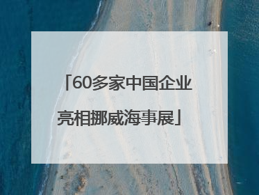 60多家中国企业亮相挪威海事展