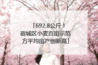 692.8公斤！宿城区小麦百亩示范方平均亩产创新高