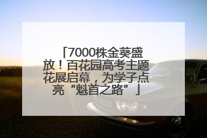 7000株金葵盛放！百花园高考主题花展启幕，为学子点亮“魁首之路”