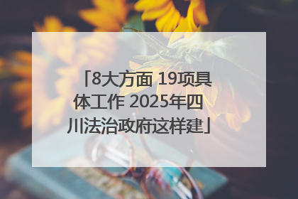 8大方面 19项具体工作 2025年四川法治政府这样建