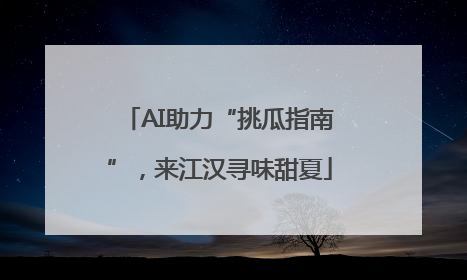 AI助力“挑瓜指南”，来江汉寻味甜夏