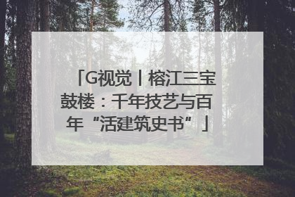 G视觉丨榕江三宝鼓楼：千年技艺与百年“活建筑史书”
