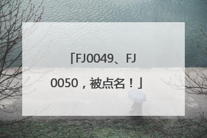 FJ0049、FJ0050，被点名！