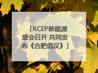 RCEP新能源盛会召开 共同发布《合肥倡议》